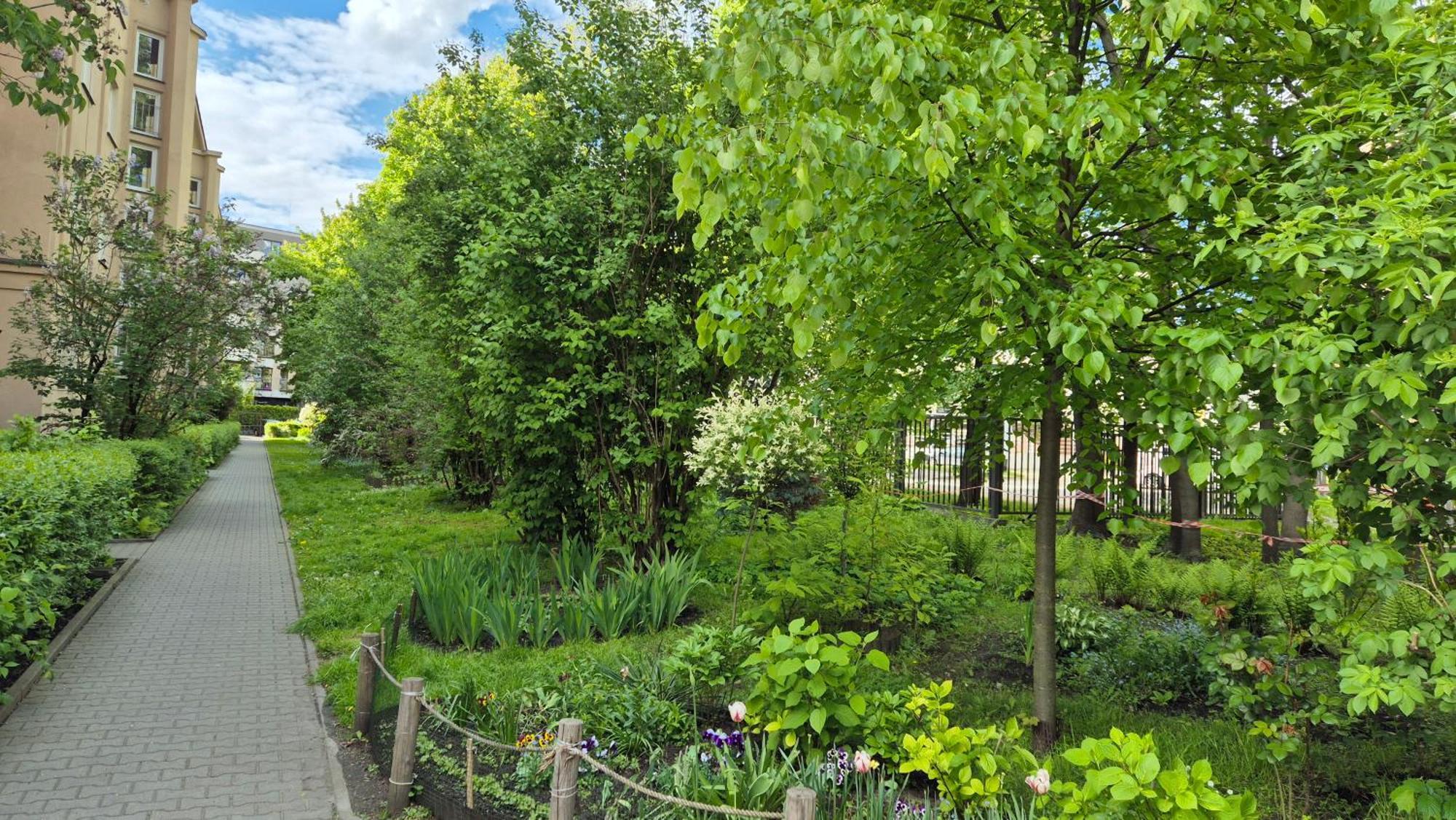 Apartament Daszyńskiego Kraków Zewnętrze zdjęcie